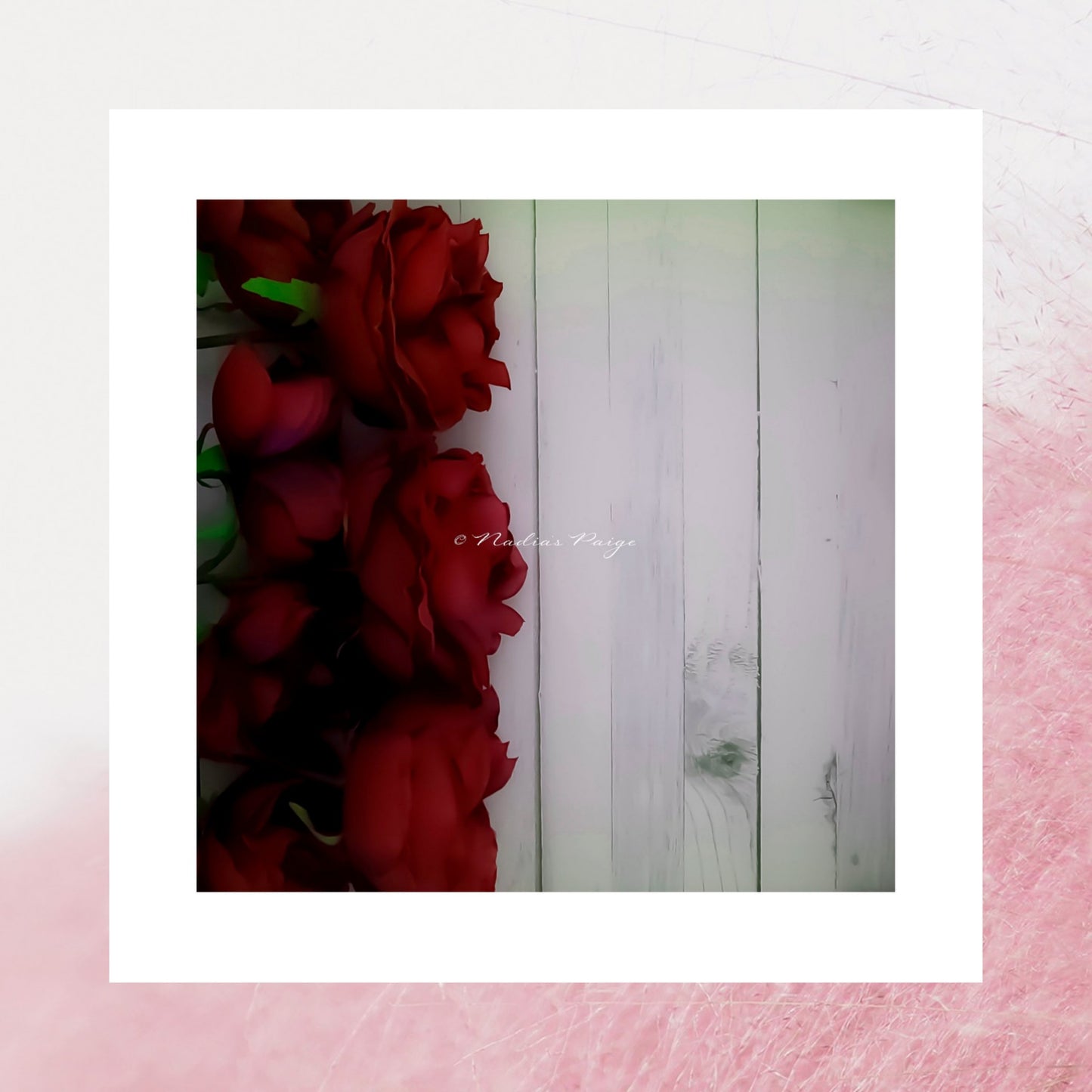 Red Roses