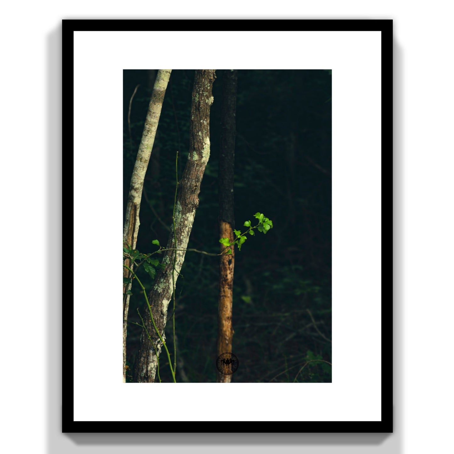 Branches